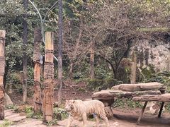 -贵州森林野生动物园