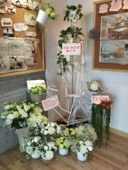 -意施精准塑形普拉提
