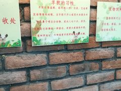 -上海大自然野生昆虫馆(东方明珠·爬宠昆虫探索中心)