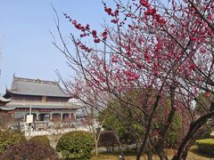 -上海财神庙
