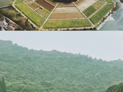 -八卦田遗址公园