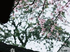 -檀园