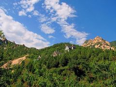 -大岭沟猕猴桃谷风景区