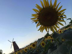 iphone_upload_pic-漩门湾国家湿地公园