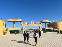 -金塔沙漠胡杨林景区
