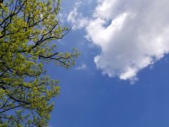 -塔云山