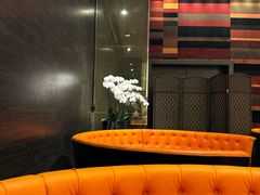 -上海大宁福朋喜来登酒店大堂吧(共和新路店)