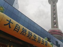 -上海大自然野生昆虫馆(东方明珠·爬宠昆虫探索中心)
