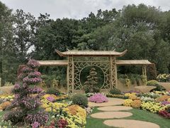 -上海共青森林公园