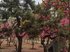 -上海市龙华烈士陵园