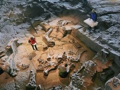 -自贡恐龙博物馆