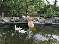 -好利来(八里庄店)