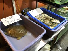 -国际金钻海鲜餐厅