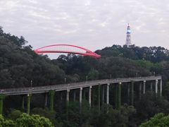 -金鸡山公园