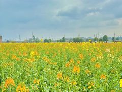 -中国天府农业博览园