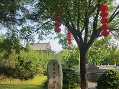 -大槐树寻根祭祖园