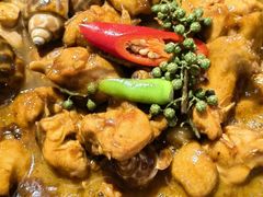 招牌花螺焖鸡煲-十六蒲(桂林路店)