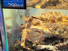 -77号渔船·蒸海鲜青岛菜(积米崖店)