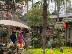 -青城甲(青城山店)