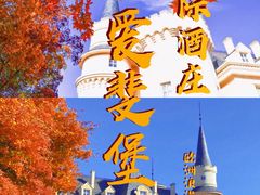 -北京张裕爱斐堡酒庄