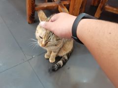 -老北京热气涮羊肉·小龙虾·烤鱼(呼玛路店)