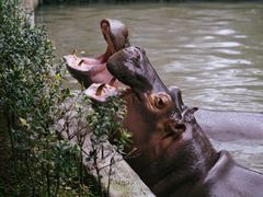 -宁波野生动物园
