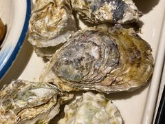 -大锅强·蒸海鲜青岛菜(吾悦广场店)