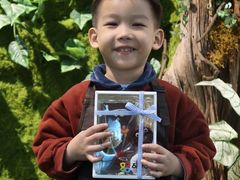 -蕃茄田艺术•美术绘画 •硬笔书法(滨江海威领界店)