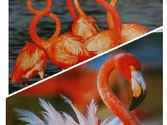 -好利来(鲁谷店)