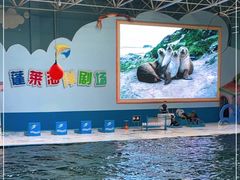 -蓬莱欧乐堡海洋极地世界