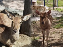 -水上乐园·欢乐世界