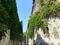 -乌镇景区