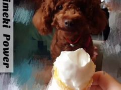 -肯德基(沪东店)