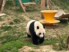 -石家庄市动物园