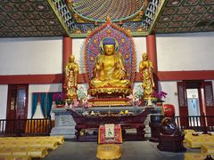 -上海东林寺(金山区)