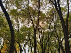 -玲珑塔公园