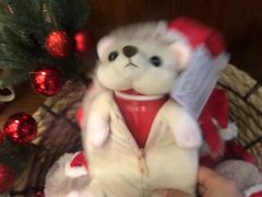 -星巴克臻选(成都宽窄巷子店)