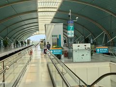 -龙阳路磁悬浮列车总站-停车场