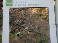 -中国农业大学(西校区)