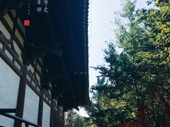 -西安青龙寺遗址景区