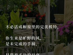 -曼朗心理咨询·旗舰店