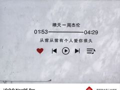 -阳宗海湿地
