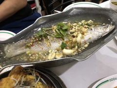 -T&K 海鲜