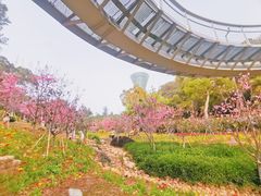 -狐尾山公园