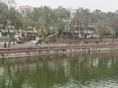 -中国彩灯博物馆