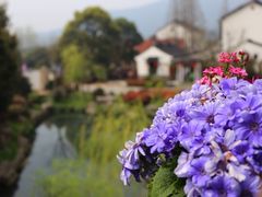 -旺山·浪头人家