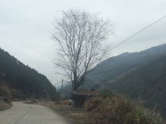 -大自然会所(泉秀店)