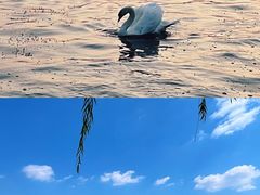 -北龙湖湿地公园
