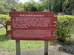 -广州莲花山旅游区