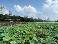 -南宁南湖公园